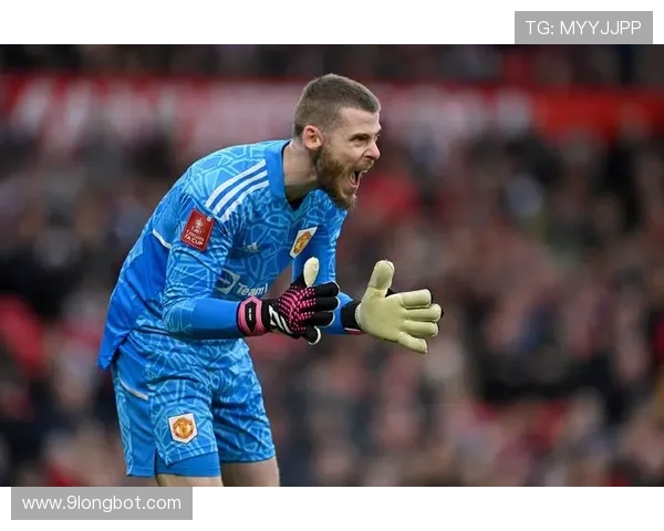 卢顿城防线稳固：英超新秀展现顽强韧性，持续保持不败纪录