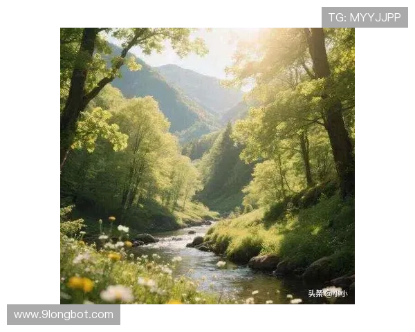 表面稳如泰山，其实阵容老化问题藏不住了